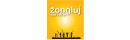 Zongluj.cz