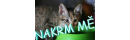 Nakrm mě