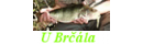 U Brčála