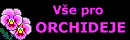 Vše pro ORCHIDEJE