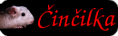 Činčilka
