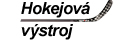 Vystroj-hokejova.cz