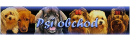 Psí obchod