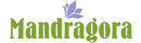 Mandragora