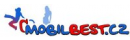 Mobil Best