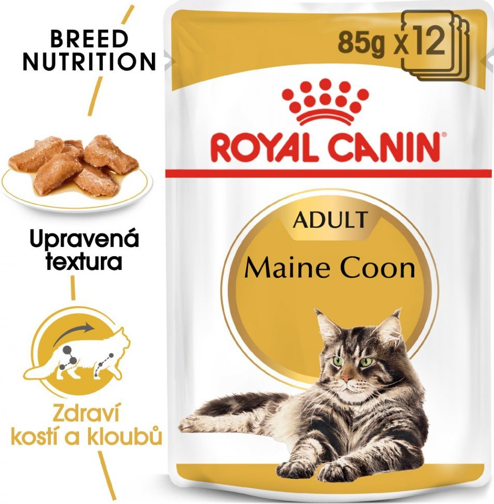 Royal Canin Maine Coon Adult 24 x 85 g