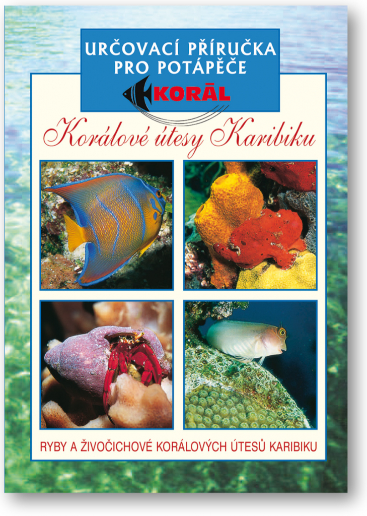 Korálové útesy určovací příručka pro potápěče - Elizabeth a Lawson Woodovi
