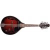 Stagg M50 E