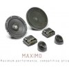 Morel Maximo 5