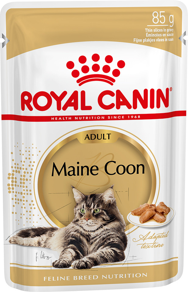 Royal Canin Maine Coon Adult v omáčce 12 x 85 g
