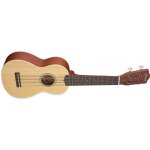 Stagg US60-S