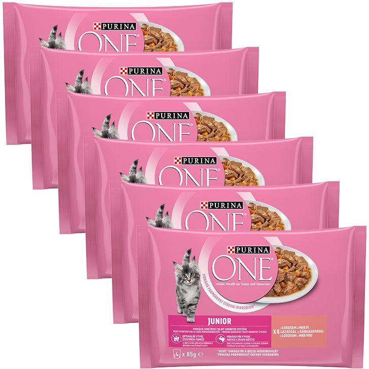 PURINA ONE JUNIOR multibalení 24 x 85 g