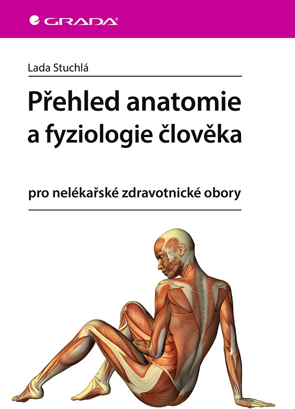 Přehled anatomie a fyziologie člověka