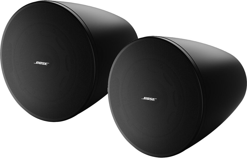 Bose DesignMax DM6PE