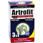 Dacom Pharma Artrofit 60 tobolek