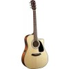 Fender CD100