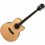 Ibanez AEL 10E
