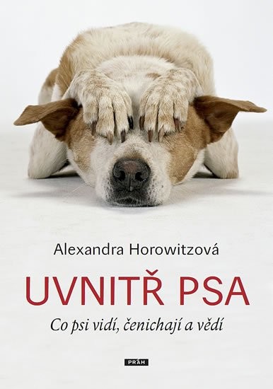 Uvnitř psa - Co psi vidí, čenichají a vědí