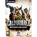 Call Of Juarez: Bound in Blood