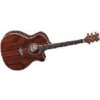 Dean Exotica Andes