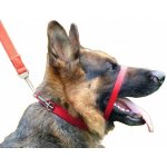 Canny Collar výcvikový červený obojek