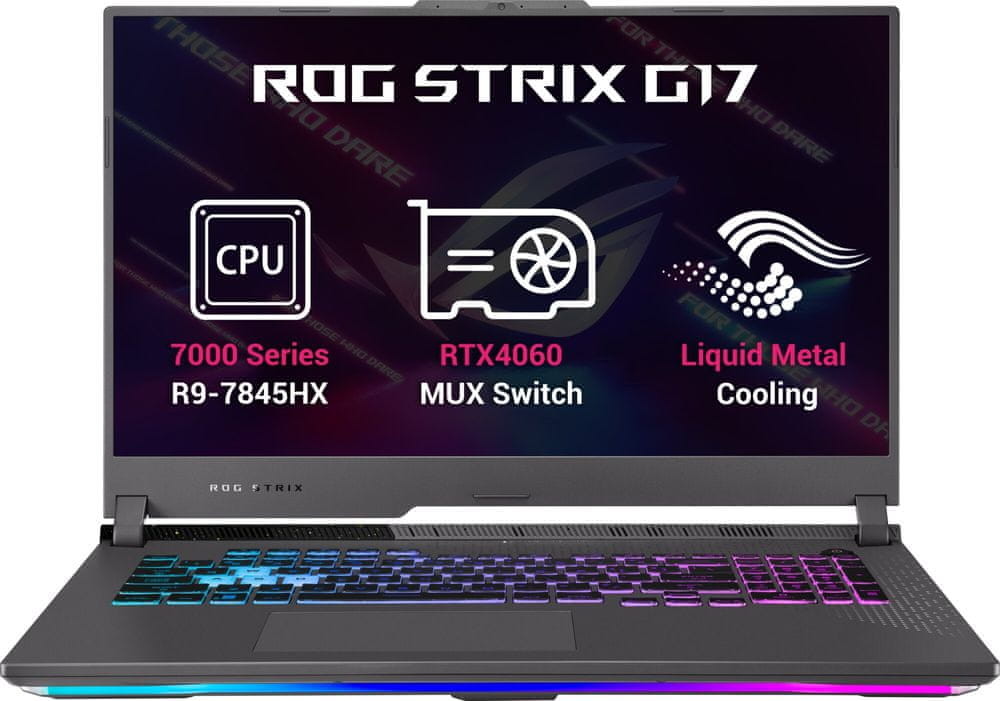 Asus Rog Strix G17 G713PV-LL045