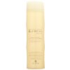 Alterna BAMBOO Anti-Frizz Conditioner - kondicionér proti krepacení vlasů 250 ml