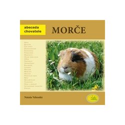 Morče