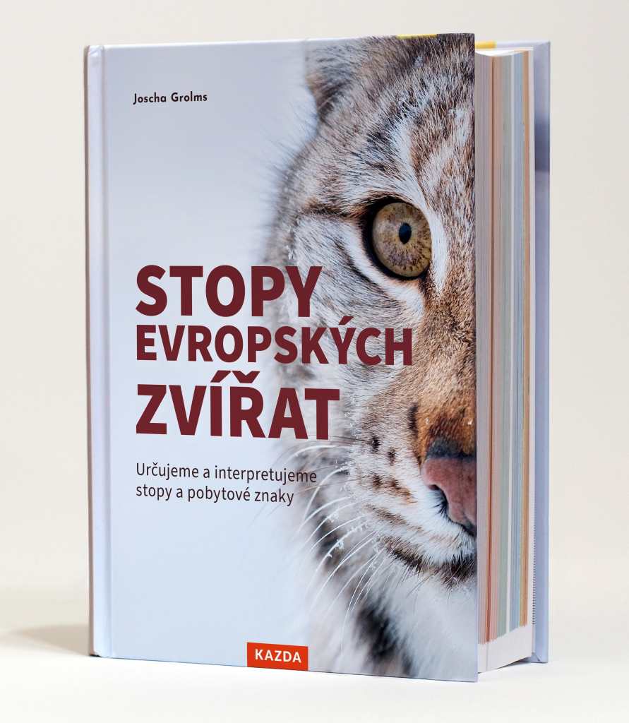 Stopy evropských zvířat Provedení: Tištěná kniha