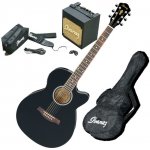 Ibanez AEG 5EJP