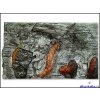 Pozadí Aquael 150 x 50 cm