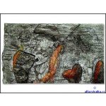 Pozadí Aquael 150 x 50 cm