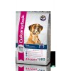Eukanuba Dog Breed N. Boxer 12kg granule pro psy - 2934 Eukanuba Dog Breed N. Boxer 12kg granule pro psy - 2934
