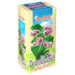Apotheke Pro dobrou paměť s ginkgo bil.20x1,5g