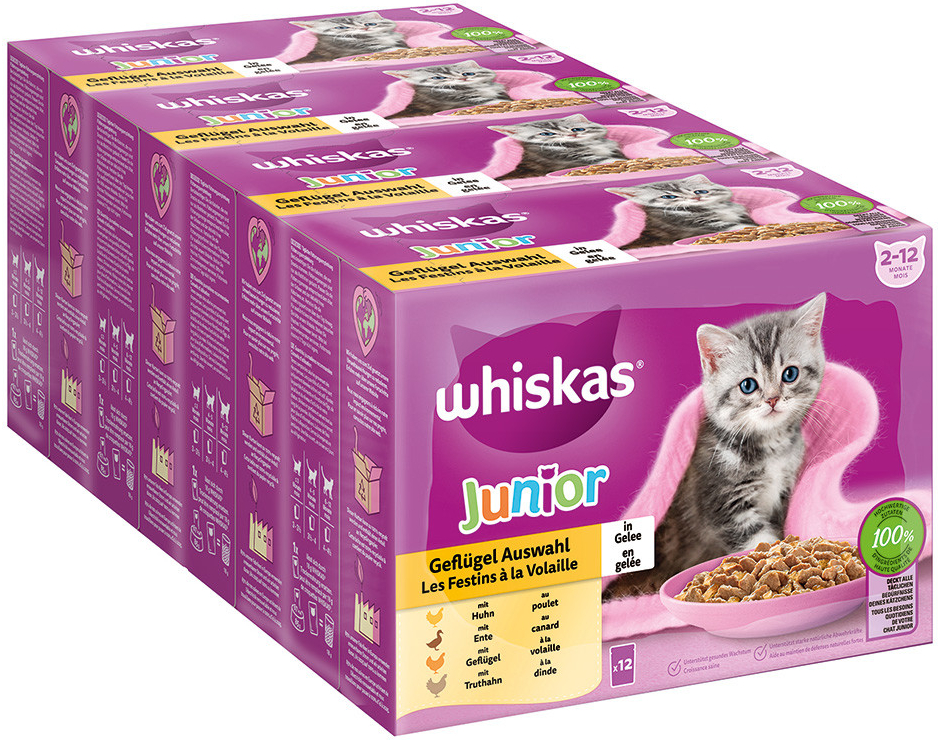 Whiskas Junior drůbeží výběr v želé 48 x 85 g