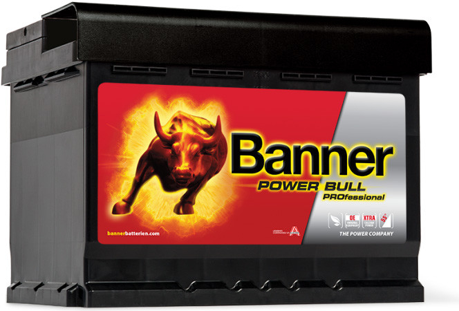 Banner Power Bull PROfessional 12V 50Ah 400A P50 42