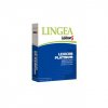 Lingea Lexicon 5 Německý slovník Platinum