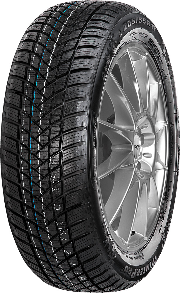 GT Radial WinterPro 2 205/55 R16 91T