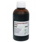 Ostropestřecová čajová směs JK 200 ml