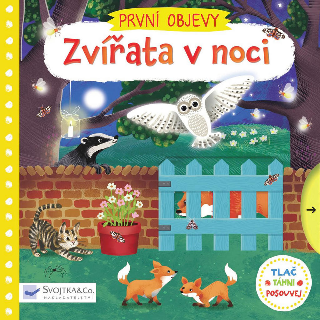 Zvířata v noci - První objevy - neuveden