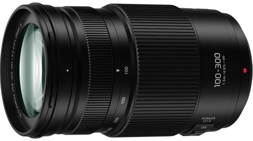 Panasonic Lumix G 100-300mm f/4-5.6 POWER OIS