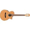 Ibanez EWN 30SYE