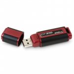 Kingston DataTraveler 310 256GB