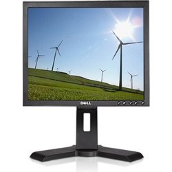 Dell P170S