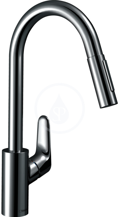 Hansgrohe Focus 31815000