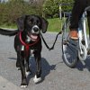 Trixie sada pro cyklisty de Luxe
