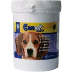 Biofaktory Canvit Senior 80 g