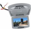OEM ic-901dvdfd-x