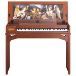 Roland C 30