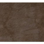 Falcon Eyes FC-19 Fantasy-Cloth 300 x 600 světle hnědá
